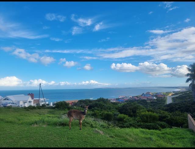 990M² VACANT LAND FOR SALE IN DANA BAY